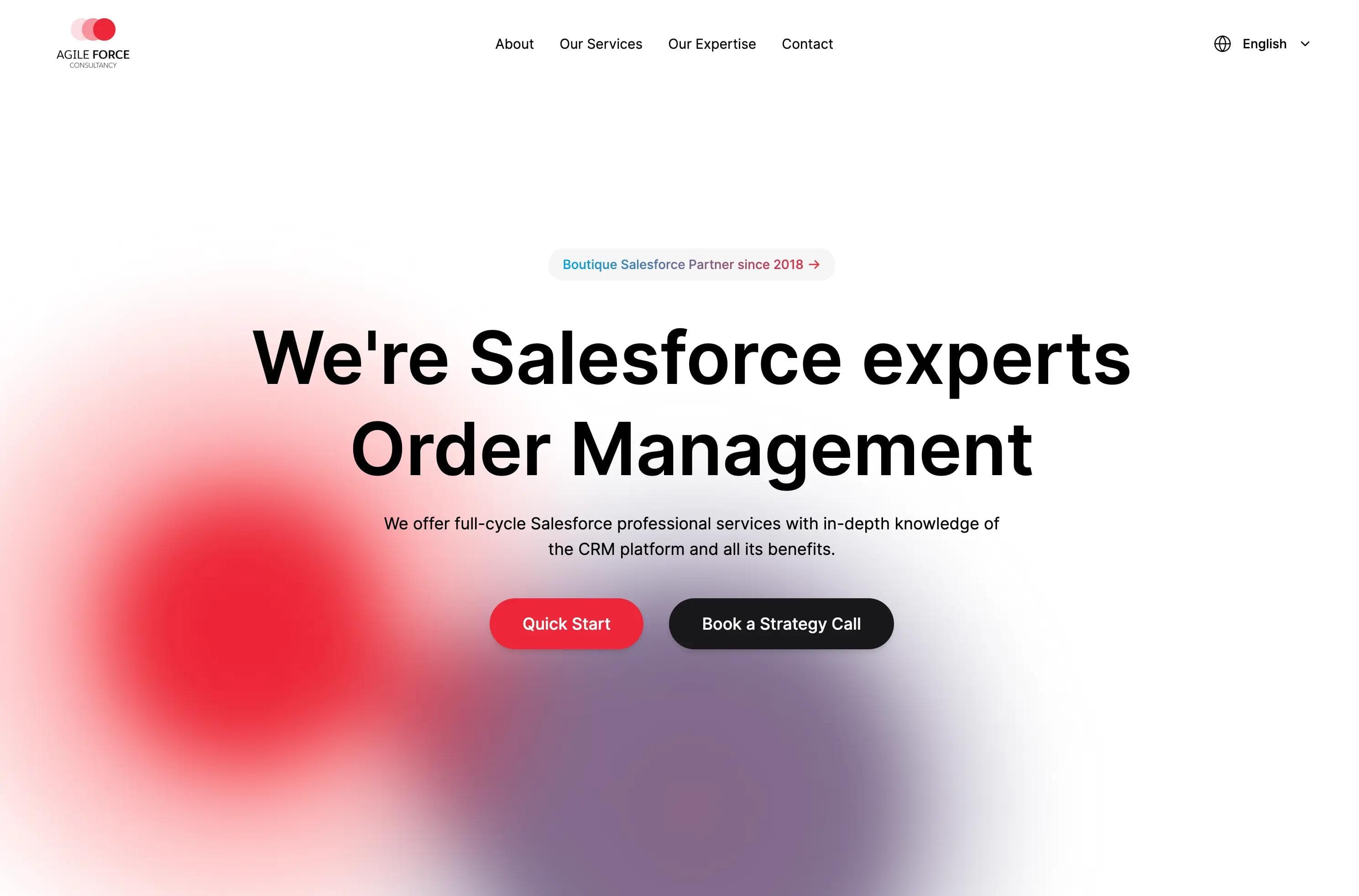 Cover project Agile Force Consultancy